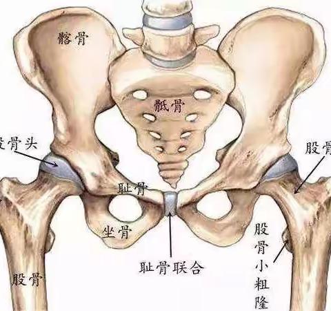 送髋式跑步🏃‍♀️才是真的跑步