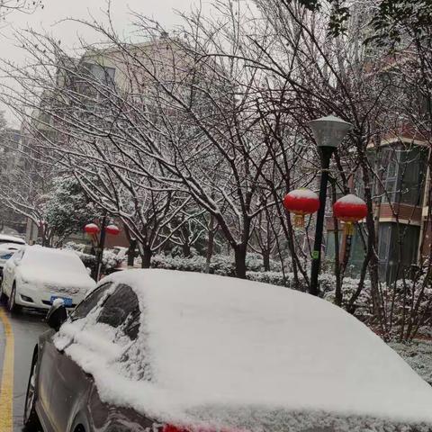 喜欢下雪天