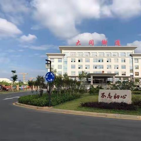 大同街道：凝心聚力，全力以赴备战全国文明城市创建迎检工作