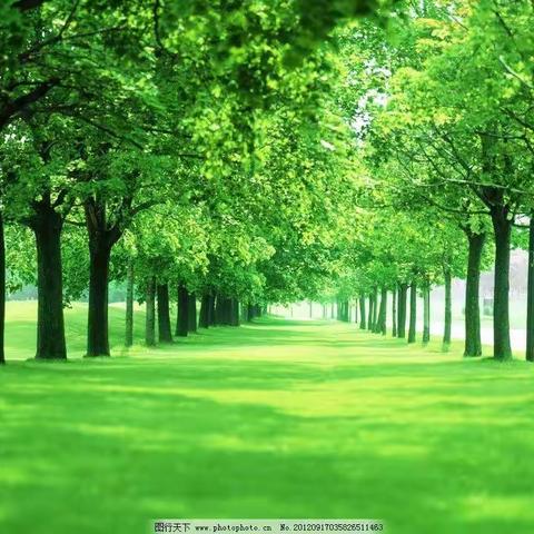 阳春三月，相遇羊城，遇见教育的美好﻿ ——2021菁师优课“核心素养下初中英语阅读教学研讨会”