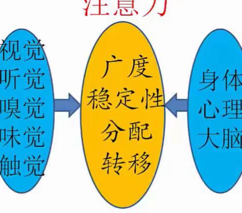 用游戏提高注意力！东储小学，心理抗“疫”