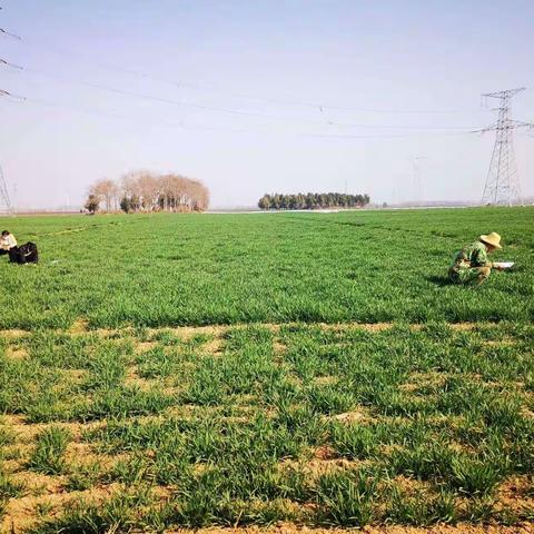 鄢陵县农业农村局工作纪实（3月6日）