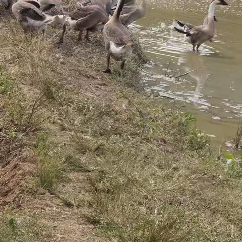 爱心家访，助力圆梦——保亭中学高一年级六弓乡家访小记