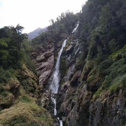 马樱花开遍山红