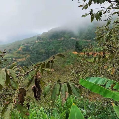 又开始爬山涉水的生活之旅