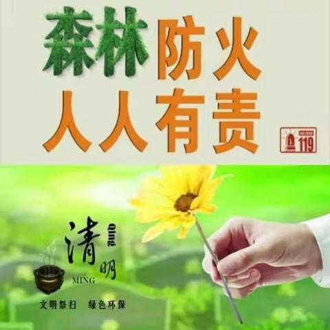 森林防火，人人有责——留格初中森林防火安全教育