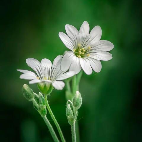 时间都去哪了——记五一假期