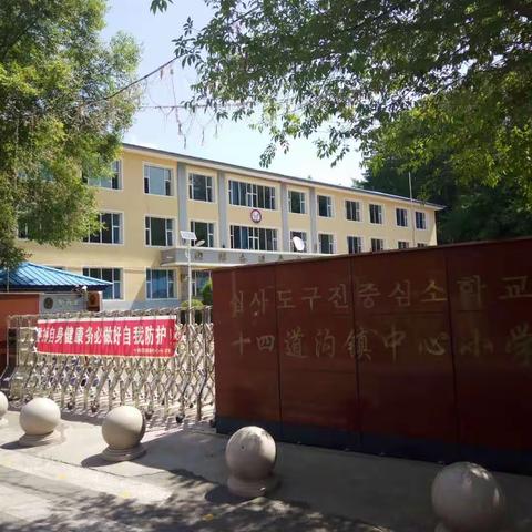 美丽校园：十四道沟镇中心小学校校园绿化