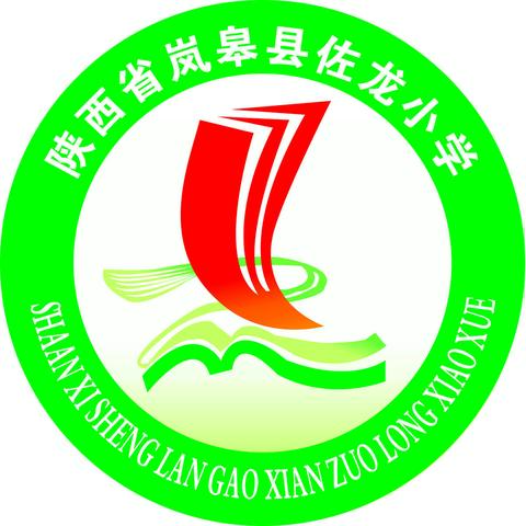快乐绿荫，绽放梦想——佐龙小学足球社团