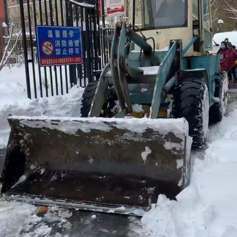 风雪过后彩云天——长大社区扫雪进行时