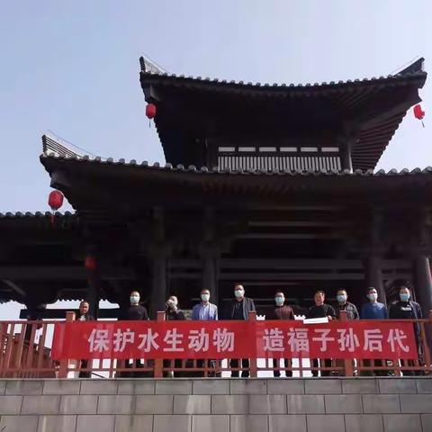 关爱水生动物 共建和谐家园