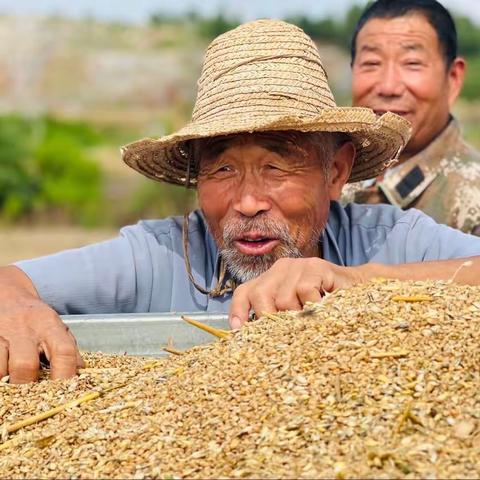 【新时代文明实践 铜山在行动】夏收夏种农忙季