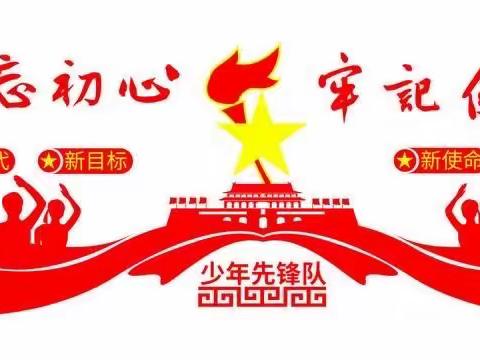 红领巾心向党——天等县都康乡都康中心小学入队仪式