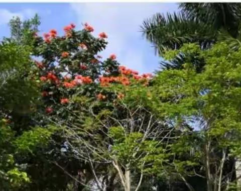 携手同心共成长     教研同行谱新篇