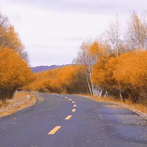 晚秋-燕赵大地绝美秋色