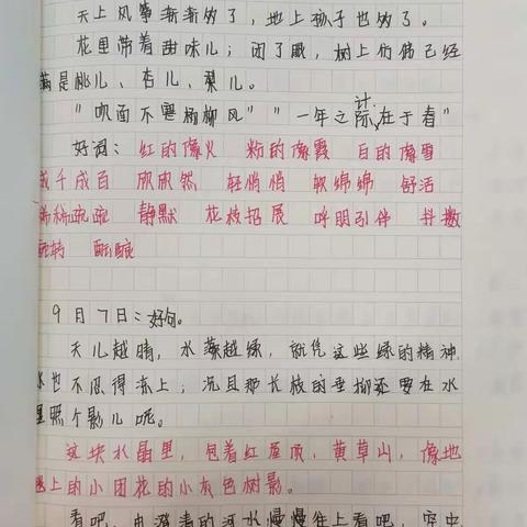 向阳而生，阅读记录——龙中七年级7班优秀积累本集锦