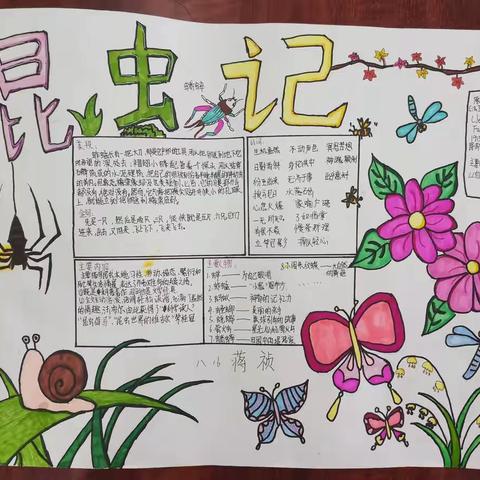 初二7、16班优秀暑假作业展