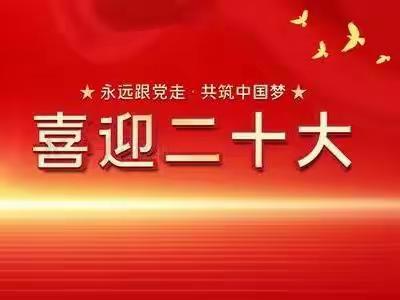 大堤西小学--“学习二十大，争做好队员”主题系列活动