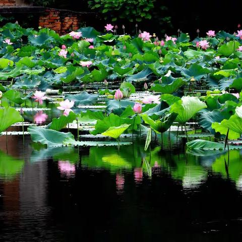 喜欢在余晖中，说着讲不完的故事，想着那些不再出现的人