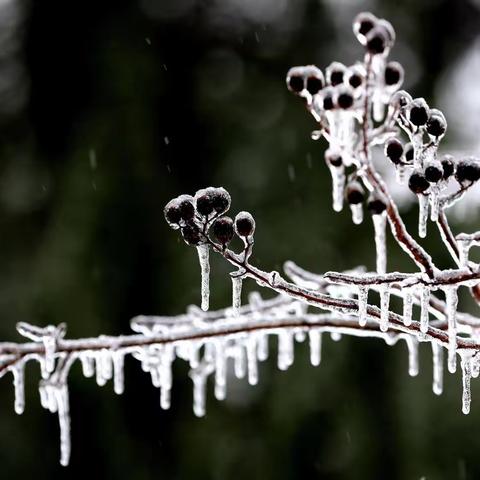社区的冰挂和雪景