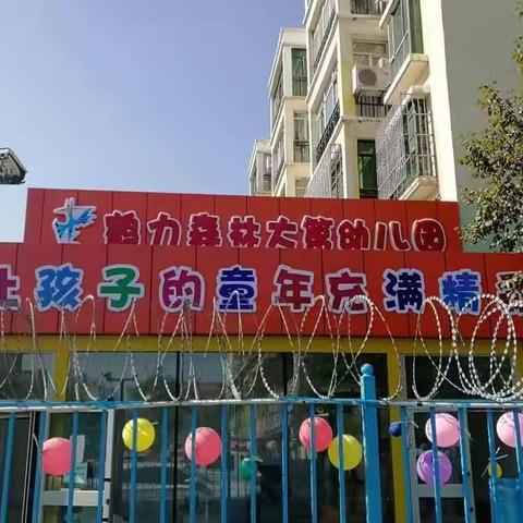 鹤力森林大第幼儿园大五班学期汇报