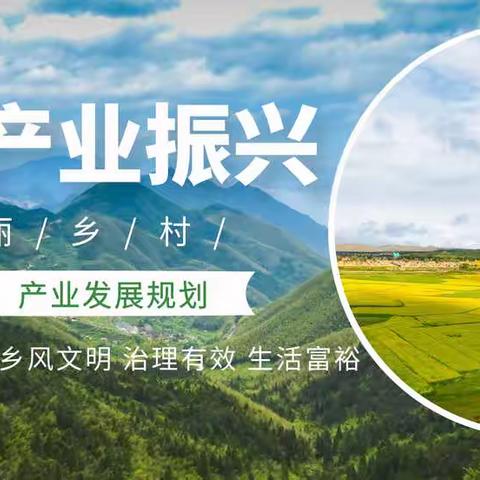 2021年度盘点——发展规划篇