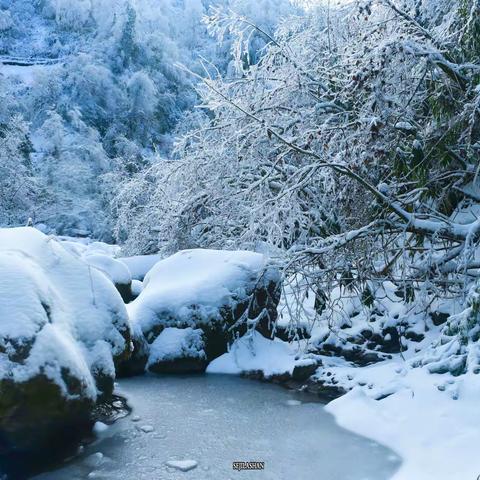 2022年洪雅县复兴村雪景