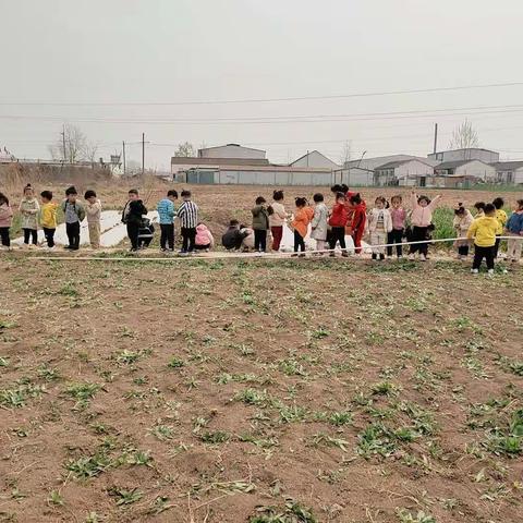 东来幼儿园小二班之我们的一周