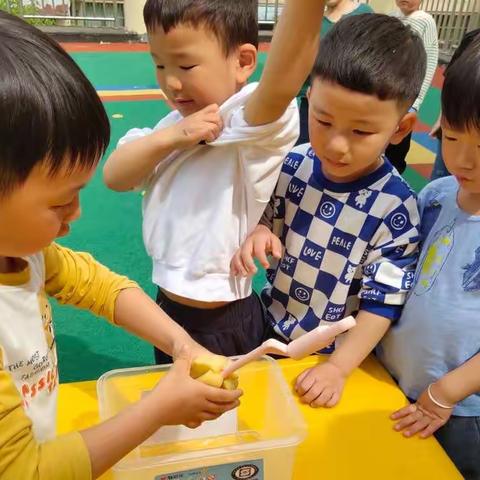 水宝宝的秘密——市三幼苗苗班生成主题活动