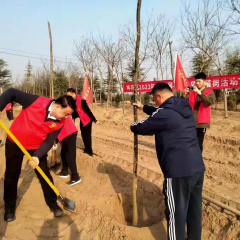 祥符区多措并举全力做好新植林木管护工作