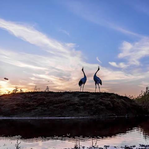 扎龙—丹顶鹤之乡