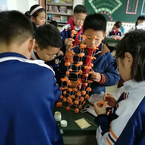 潍坊市实验小学2年级12班【谁的萝卜塔最高】