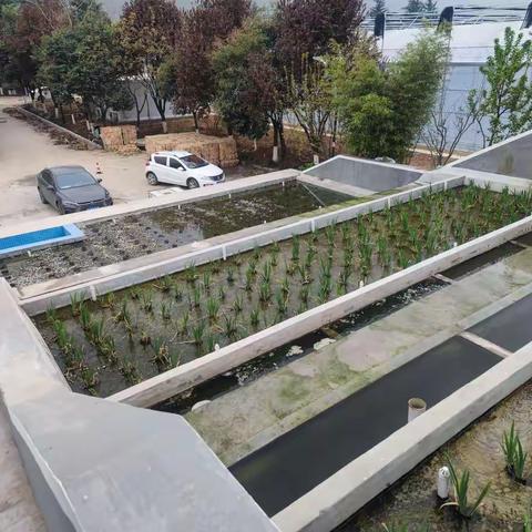 西安市生态环境高新分局开展河湖水质管控专项检查