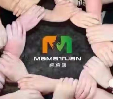 MMT蚂蚁团队—阳光☀️战队爱燕（七天商学院感言）