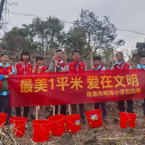 呵护绿色，向美而行——明珠小学五年级（4）班绿化小使者