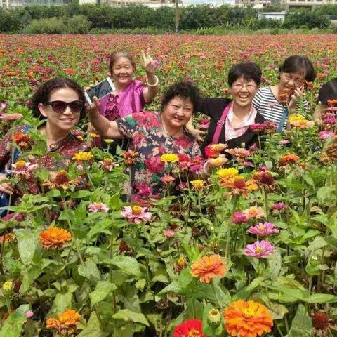 五，六班女生相聚百花园山庄！