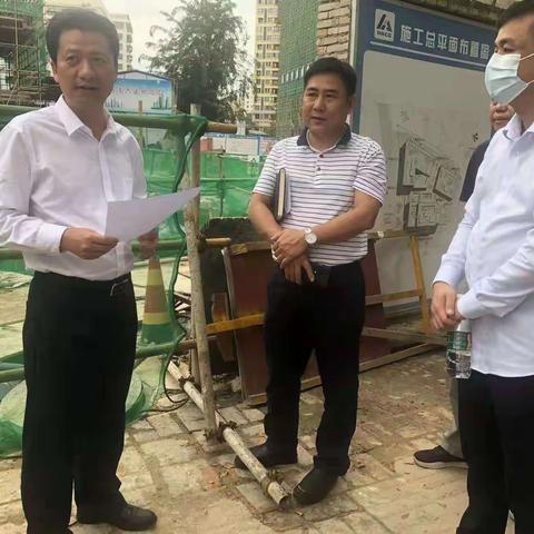 奋战80天-天涯区人大主任带队调研项目建设情况