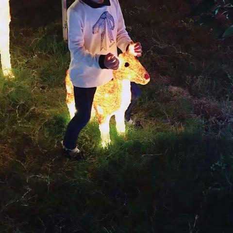 棉棉棉、花糖的夏天🍭🍭🍭