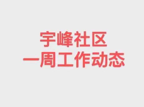 宇峰社区一周工作动态11.28-12.4