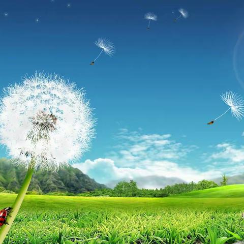 春天最美的绽放 ―――相约绘本 与我同行