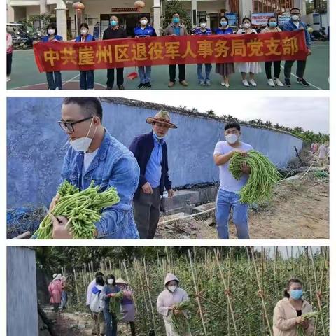 中共崖州区退役军人事务局支部开展“党员先锋队”主题党日活动