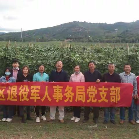 中共崖州区退役军人事务局支部开展主题党日活动