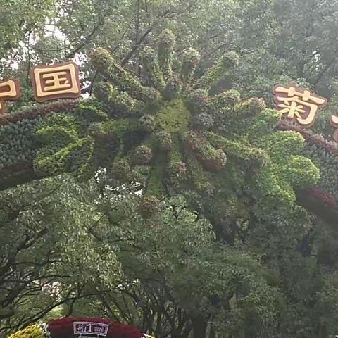 海上燕青的美篇