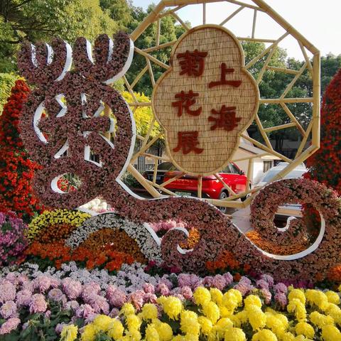 2020.11.16太太的同学们相约于上海杨浦区共青国家森林公园 欣赏今年的【上海菊展】