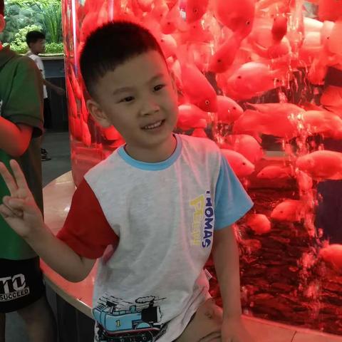 海上燕青的美篇