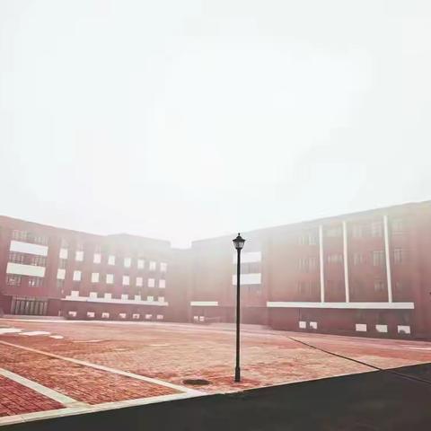 学习百年党史 做新时代好少年—五星镇中学学生学党史活动