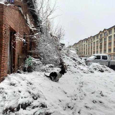 冰雪路上的前行者——延边农村商业银行开山屯分理处