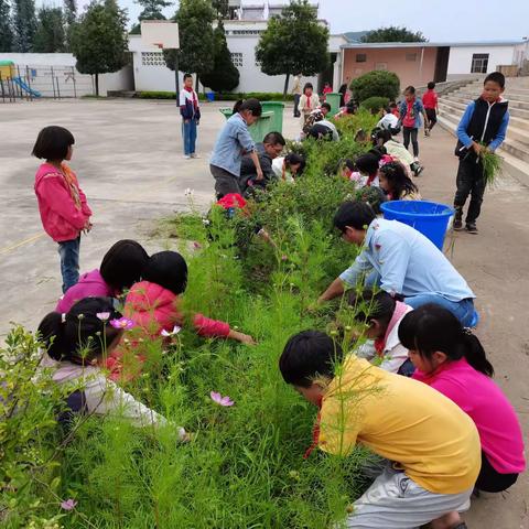 芦山小学“小手牵大手”活动