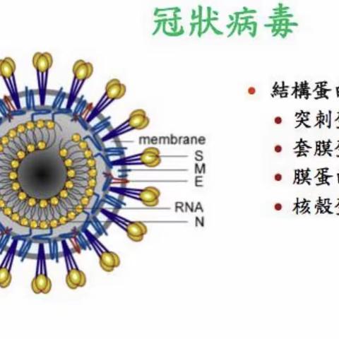 积极防护，保护自己，全面预防新型冠状病毒——平安区第三完全小学致广大家长的一封信