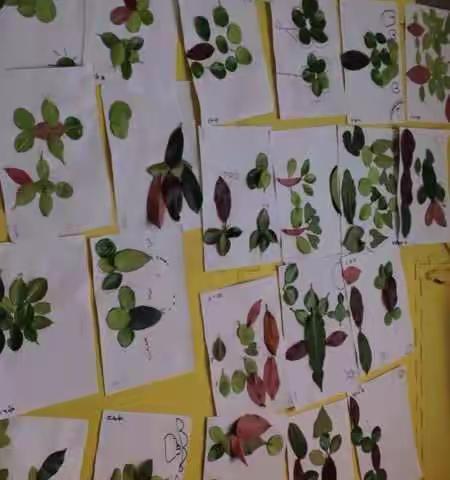 杜庄幼儿园大班美工活动——树叶粘贴画